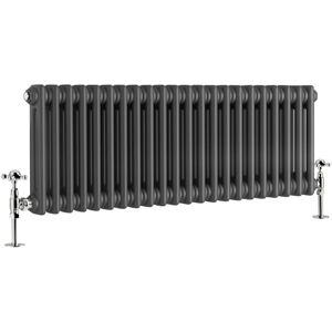 Warmehaus - Traditional Double Column Anthracite Radiator Cast Iron Style Radiators 300x1010mm Warmehaus - Traditional Double Column Anthracite Radiator Cast Iron Style Radiators 300x1010mm