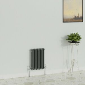 WarmeHaus Traditional Anthracite 2 Column Radiator 600x425mm WarmeHaus Traditional Anthracite 2 Column Radiator 600x425mm