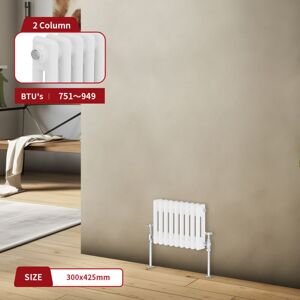 Warmehaus - Traditional Radiator Double Column White 300 x 425mm Warmehaus - Traditional Radiator Double Column White 300 x 425mm