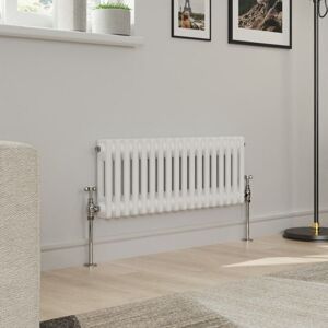 Warmehaus - Traditional Double Column White Radiator Cast Iron Style Radiators 300 x 830mm Warmehaus - Traditional Double Column White Radiator Cast Iron Style Radiators 300 x 830mm