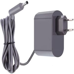 AIPERQ For Dyson V6 V7 V8 Replacement Charger DC58 DC59 DC61 DC62 SV03 SV04 SV05 SV06 Absolute Animal Fluffy Motorhead Cordless Vacuum Cleaner Power Supply AIPERQ For Dyson V6 V7 V8 Replacement Charger DC58 DC59 DC61 DC62 SV03 SV04 SV05 SV06 Absolute Animal Fluffy Motorhead Cordless Vacuum Cleaner Power Supply