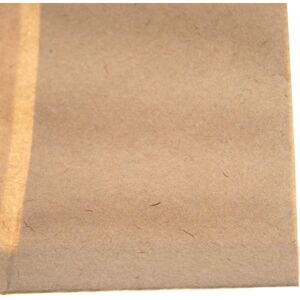 20x Vacuum Cleaner Bag compatible with Parkside pnts 30/xx Vacuum Cleaner, 33.1 cm x 77.7 cm, beige - Vhbw 20x Vacuum Cleaner Bag compatible with Parkside pnts 30/xx Vacuum Cleaner, 33.1 cm x 77.7 cm, beige - Vhbw