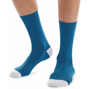 Icon unisex cycling socks 2021: blue m - ZFAL14UICO-BU-M - Altura