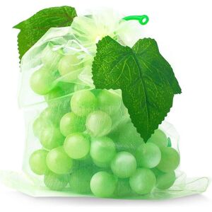 TEHTUY 100 Fruit Protection Bags, Net Bags for Protecting Grape Bunches from Birds and Insects (Wasps, Hornets), 30 x 20 cm TEHTUY 100 Fruit Protection Bags, Net Bags for Protecting Grape Bunches from Birds and Insects (Wasps, Hornets), 30 x 20 cm