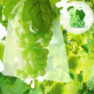 TEHTUY 100 Fruit Protection Bags, Net Bags for Protecting Grape Bunches from Birds and Insects (Wasps, Hornets), 30 x 20 cm TEHTUY 100 Fruit Protection Bags, Net Bags for Protecting Grape Bunches from Birds and Insects (Wasps, Hornets), 30 x 20 cm