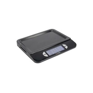 Dual usb Rechargeable Digital Scale 5Kg (11lbs / 5 litres) - Taylor Pro