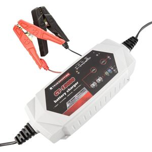 Trueshopping - Battery Charger & Maintainer Portable Automatic 12V/24V 15 Amp Car Motorcycle - White