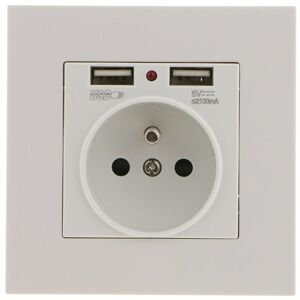 TINOR Wall Socket, Wall Power Socket with Double usb 5V/2100mA, Built-in Socket with 2 usb Ports Convenient and Handy