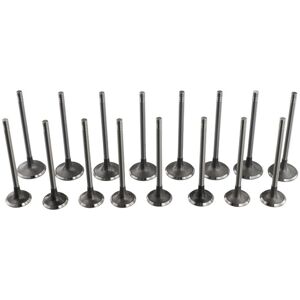 Tlily - 16 Pcs Intake Exhaust Valves for Audi A3 A4 A5 A6 vw Golf gti Tiguan Passat B7 cc Jetta 06D 109 601 m 06D 109 611 h