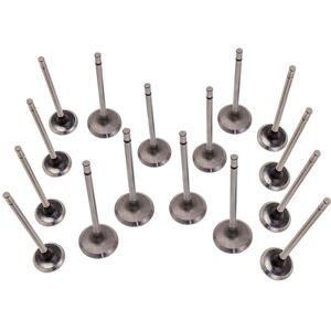 MAXPEEDINGRODS BFO - 16X Valve Kit For Renault Clio Megane Laguna Scenic Kangoo Modus 1.4 16V/1.6 16V