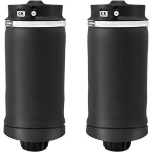 MAXPEEDINGRODS 2x Rear Air Suspension Bag Spring 2513200425 For Mercedes-Benz R-Class W251