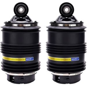 BFO Pair Rear Air Spring Bag for Mercedes-Benz E-Class S211 E 200 E220 E320 E350 E50
