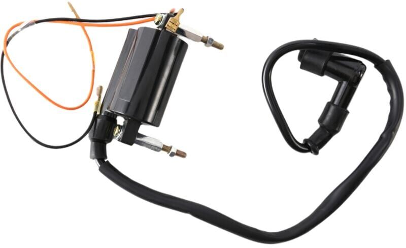 Tlily - Ignition Coil Set 21121-1264 21160-1089 for Kawasaki klt 200 klf 250 klf 300 1988-2004