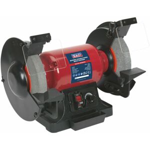 LOOPS 200mm Variable Speed Bench Grinder - 550W Induction Motor - Fine & Coarse Stones