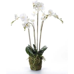 Artificial Phalaenopsis with Moss White 90 cm 20.355 Emerald White