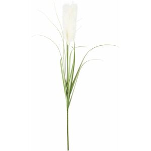 FLORISTA pampas gras 115cm cream - Bathroom Accessories