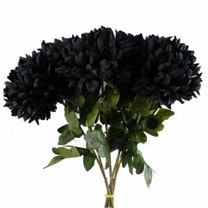 Leaf Pack of 6 x 75cm Extra Large Reflex Chrysanthemum - Black