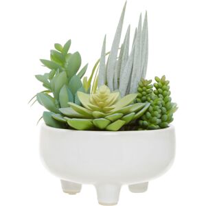 Premier Housewares - Fiori Mixed Succulents in Large Ceramic Pot