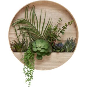 Premier Housewares - Fiori Mixed Succulents in Wood Wall Planter
