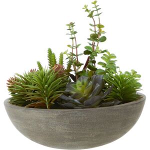 Premier Housewares - Fiori Stone Effect Pot Mixed Succulent