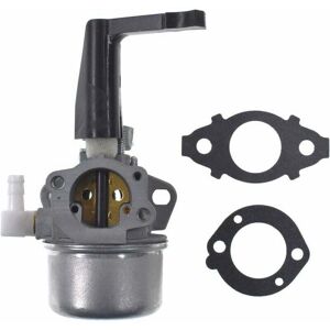 ZVD - Carburateur de Remplacement avec Kit de Joint pour Briggs & Stratton 696065 697422 110402-0206-E1