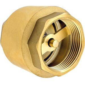 Tinor - 1 1/2 inch High Quality Brass Check Valve, Rust & Leak Proof for Pump, Fountain, Washing Machine, Garden, Rain Butts, Barrel Tinor - 1 1/2 inch High Quality Brass Check Valve, Rust & Leak Proof for Pump, Fountain, Washing Machine, Garden, Rain Butts, Barrel