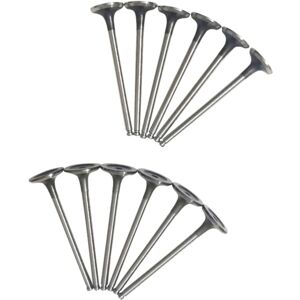 TLILY 12Pcs Inlet Exhaust Valve for C3 C4 208 3008 HNX HNY 9801960980 539042 R6936 9807645980 9675073180 TLILY 12Pcs Inlet Exhaust Valve for C3 C4 208 3008 HNX HNY 9801960980 539042 R6936 9807645980 9675073180