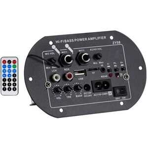 TLILY 12V 24V 220V HIFI Bass Power Amplifier Board with USB Player Module Dual Microphones for Audiophiles US Plug TLILY 12V 24V 220V HIFI Bass Power Amplifier Board with USB Player Module Dual Microphones for Audiophiles US Plug
