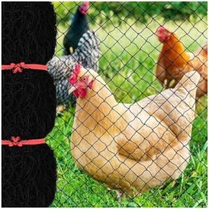 CYSLMUK 15 x 15m Anti Bird Netting with 2.5cm Square Mesh, Reusable Garden Netting for Chicken Coop, Nylon Poultry Netting for Deer Fence to Protect Fruit CYSLMUK 15 x 15m Anti Bird Netting with 2.5cm Square Mesh, Reusable Garden Netting for Chicken Coop, Nylon Poultry Netting for Deer Fence to Protect Fruit