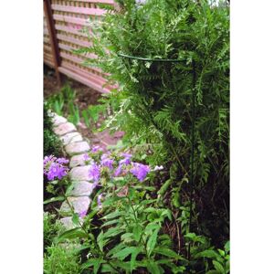 15 x 20 Inches Border Support (Pack of 4) - Steel - L25.4 x W38 x H50.8 cm - Green 15 x 20 Inches Border Support (Pack of 4) - Steel - L25.4 x W38 x H50.8 cm - Green