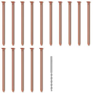 TLILY 15Pcs Copper Nails for Killing Trees Stump Root, 3.14 Inch Long Pure with Drill, Removal Spikes TLILY 15Pcs Copper Nails for Killing Trees Stump Root, 3.14 Inch Long Pure with Drill, Removal Spikes