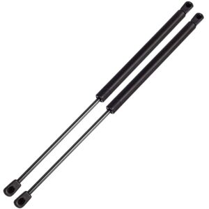 Tlily - 2 Pcs Hood Lift Supports Struts for dodge Ram 1500 2500 3500 2002-2007 SG314036 Tlily - 2 Pcs Hood Lift Supports Struts for dodge Ram 1500 2500 3500 2002-2007 SG314036
