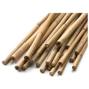 Garden Mile - 20x 150cm Bamboo Canes Gardeners Essential Strong Durable and Long Lasting Garden Accessory Plant Support (20, 150cm) Garden Mile - 20x 150cm Bamboo Canes Gardeners Essential Strong Durable and Long Lasting Garden Accessory Plant Support (20, 150cm)