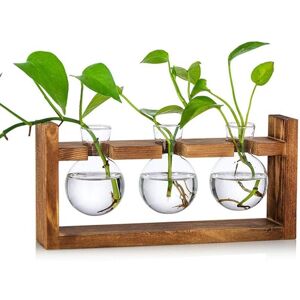 WOIYIC 3-Piece Propagation Station Bulb Avocado Vase Glass Acorn Vase for Flowers Terrarium Planter Pot with Wooden Stand for Green Water Plants Suitable WOIYIC 3-Piece Propagation Station Bulb Avocado Vase Glass Acorn Vase for Flowers Terrarium Planter Pot with Wooden Stand for Green Water Plants Suitable