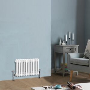 NRG - 300 x 605 mm Traditional White Horizontal Cast Iron Radiator Double Column NRG - 300 x 605 mm Traditional White Horizontal Cast Iron Radiator Double Column