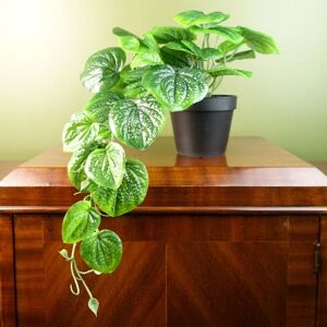 Leaf - 35cm Artificial Trailing Natural Look Potted Pothos Plant Realistic Leaf - 35cm Artificial Trailing Natural Look Potted Pothos Plant Realistic