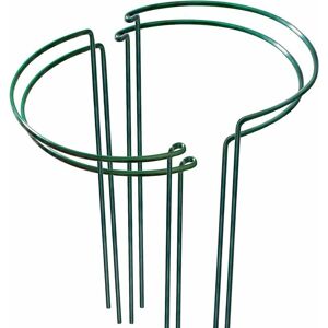 HOOPZI 4 Pack Sturdy Metal Plant Support Garden Plant Cage Plant Stake for Tall Plants, Dahlias, Lilies, Fennel, Shrubs, Flower, Peonies, Hydrangea, Roses HOOPZI 4 Pack Sturdy Metal Plant Support Garden Plant Cage Plant Stake for Tall Plants, Dahlias, Lilies, Fennel, Shrubs, Flower, Peonies, Hydrangea, Roses