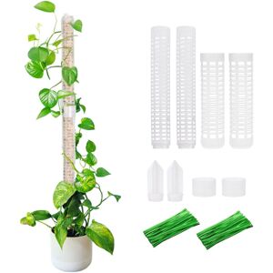 Linghhang - 4pcs Climbing Plants Moss Rods Stackable Plastic Plants Hydrofoam Column Rod Stand Up Rod Climbing Rattan Fixings Stand Linghhang - 4pcs Climbing Plants Moss Rods Stackable Plastic Plants Hydrofoam Column Rod Stand Up Rod Climbing Rattan Fixings Stand