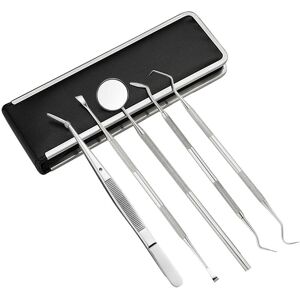 LINGHHANG 5Pcs Stainless Steel Dental Tool Kit for Dentists, Tooth Scraper Set for Personal and Professional Use LINGHHANG 5Pcs Stainless Steel Dental Tool Kit for Dentists, Tooth Scraper Set for Personal and Professional Use