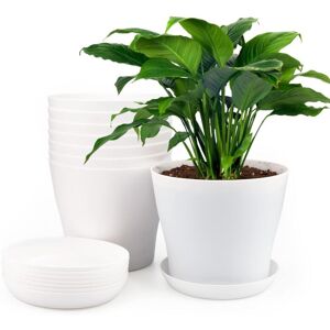 TINOR 8 Pieces 17 cm Plastic Plant Pots, Indoor Outdoor Planter, Flower Pot with Trays, Suitable for Seedlings, Cacti, Succulents, Orchids, Herbs - White TINOR 8 Pieces 17 cm Plastic Plant Pots, Indoor Outdoor Planter, Flower Pot with Trays, Suitable for Seedlings, Cacti, Succulents, Orchids, Herbs - White