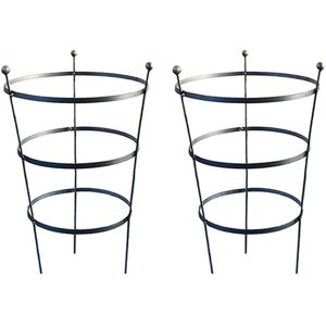 Garden Pride - 62cm Tall Peony Cage Plant Support - Raw Steel - Pair Garden Pride - 62cm Tall Peony Cage Plant Support - Raw Steel - Pair