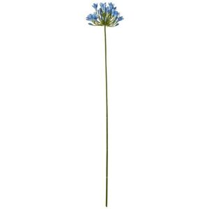 Agapanthus (Single Stem Flower) - Plastic - L15 x W15 x H75 cm - Blue Agapanthus (Single Stem Flower) - Plastic - L15 x W15 x H75 cm - Blue