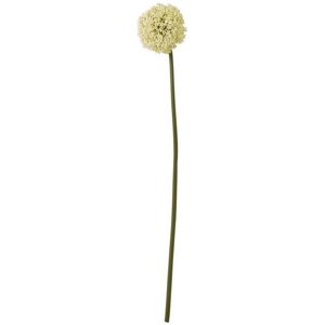 Allium (Single Stem Flower) - Plastic - Height 75 cm - Cream Allium (Single Stem Flower) - Plastic - Height 75 cm - Cream
