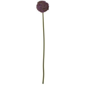 Allium (Single Stem Flower) - Plastic - Height 75 cm - Purple Allium (Single Stem Flower) - Plastic - Height 75 cm - Purple