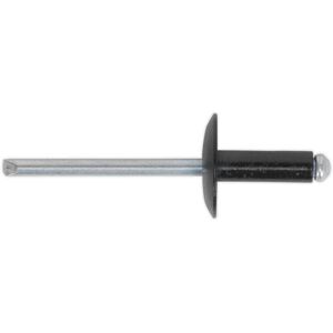 Sealey Aluminium Large Flange Rivet 4.8 x 14mm, Black - Pack of 200 RAB4814L Sealey Aluminium Large Flange Rivet 4.8 x 14mm, Black - Pack of 200 RAB4814L