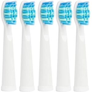 AlwaysH Toothbrush Head for Fairywill,5pc Replacement Brush Head for Fairywill FW507/508/515/551/917/959/2011/D1/D3/D7/D8 AlwaysH Toothbrush Head for Fairywill,5pc Replacement Brush Head for Fairywill FW507/508/515/551/917/959/2011/D1/D3/D7/D8