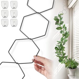 Alwaysh - Chain Trellis for Climbing Plants - Wall Trellis for Climbing Plants - Indoor Plant Accessories - Chain Grid for Vines - for Jasmine, Vine, Alwaysh - Chain Trellis for Climbing Plants - Wall Trellis for Climbing Plants - Indoor Plant Accessories - Chain Grid for Vines - for Jasmine, Vine,