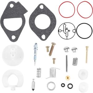 Alwaysh - Lawn Mower Carburetor Repair Carburetor Rebuild Kit for -Stratton 796184 Overhaul for Briggs & Stratton 698787 699521 699900 Alwaysh - Lawn Mower Carburetor Repair Carburetor Rebuild Kit for -Stratton 796184 Overhaul for Briggs & Stratton 698787 699521 699900