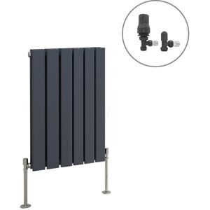 NRG - Anthracite Designer Radiator Flat Panel Central Heating Rad with Angled Thermostatic Valves Horizontal Double 600x408mm NRG - Anthracite Designer Radiator Flat Panel Central Heating Rad with Angled Thermostatic Valves Horizontal Double 600x408mm