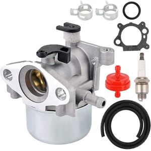 Gotrays - Carburetor Kit for Briggs & Stratton 799866 794304 796707 790845 799871 4 Cycle Lawn Mower Generator with Spark Plug, Gasket, Fuel Filter Gotrays - Carburetor Kit for Briggs & Stratton 799866 794304 796707 790845 799871 4 Cycle Lawn Mower Generator with Spark Plug, Gasket, Fuel Filter